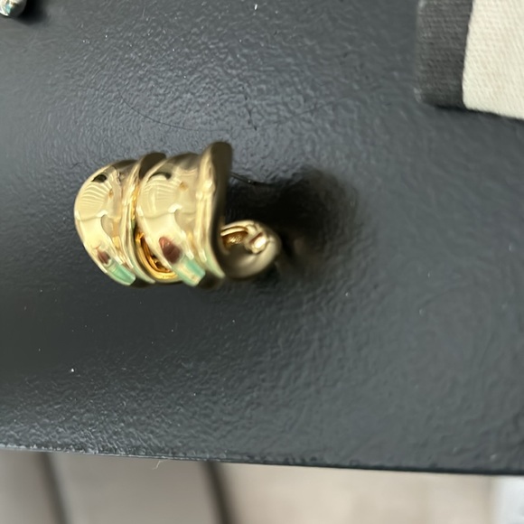 Jenny Bird NWOT Doune Chunky Hoop Earrings - Picture 9 of 9